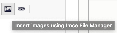 IMCE-editor-icon.png